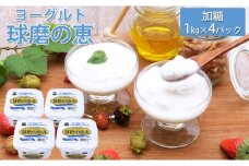 ヨーグルト プレーン 砂糖 球磨の恵ヨーグルト 1kg×4パック 乳製品 プレーンヨーグルト シュガー