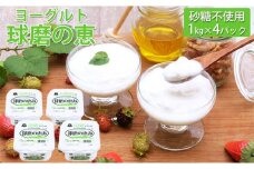 球磨の恵ヨーグルト 1kg×4パック（砂糖不使用）
