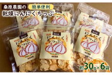 【錦町 産】桑原農園の乾燥にんにくちっぷ約30g×6袋