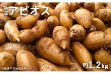 【錦町 産】インディアンのスタミナ源！桑原農園の熟成アピオス約1.2kg【配送不可：離島】