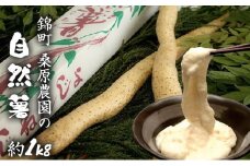 自然薯 約1kg 錦町産 桑原農園 配送不可：離島
