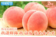 桃 白桃 白鳳 2kg 特製 桃源郷錦 もも モモ フルーツ 果物 デザート 配送不可:離島