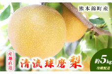 梨 旬 5kg 先行予約 2025年発送 平野果樹園 錦の梨 なし フルーツ 果物 デザート 配送不可:離島