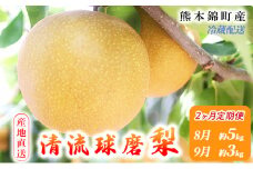 定期便 2回 先行予約 梨 清流錦 豊水 あきづき 新高 かおり 8月 5kg 9月 3kg フルーツ なし ナシ 果物 デザート お楽しみ 2025年発送 配送不可:離島