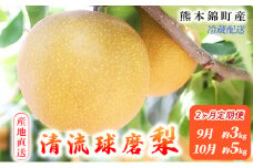 定期便 2回 先行予約 梨 清流錦 あきづき 9月 3kg 新興 10月 5kg フルーツ なし ナシ 果物 デザート 秋月 お楽しみ2025年発送 配送不可:離島