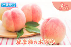 桃 白桃 先行予約 錦の水蜜桃 2kg 約5玉～8玉 もも モモ フルーツ 果物 デザート2025年発送 配送不可:離島
