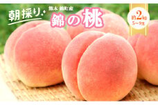 桃 白桃 先行予約 錦の桃 2kg 約5玉～9玉 もも モモ フルーツ 果物 デザート 2025年発送 鎌木果樹園 配送不可:離島