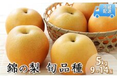 梨 5kg 先行予約 錦の梨 約9玉～14玉 フルーツ なし ナシ 果物 デザート 2025年発送 古里農園 配送不可:離島