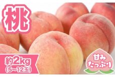 桃 先行予約 錦町産 約2kg 5玉～12玉 6月より順次出荷 もも モモ フルーツ 果物 デザート 配送不可：離島