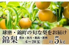 梨 先行予約 旬の梨 約5kg 6玉～20玉 豊水 秋月 新興 新高 錦町産 8月上旬より順次出荷 なし フルーツ 果物 デザート あきづき 配送不可：離島