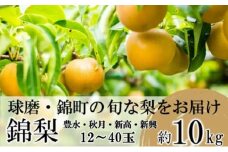 梨 先行予約 旬の梨 約10kg 12玉～40玉 豊水 秋月 新興 新高 錦町産 8月上旬より順次出荷 なし フルーツ 果物 デザート あきづき 配送不可：離島
