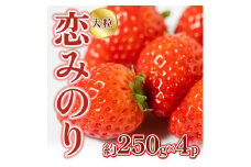 いちご 先行予約 約250g×4P 3Lサイズ 錦町産 恋みのり 苺 イチゴ デザート フルーツ 2025年1月上旬より順次発送 配送不可:離島