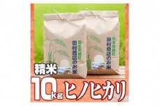 米 10kg 令和6年 ヒノヒカリ 5kg×2 白米 こめ