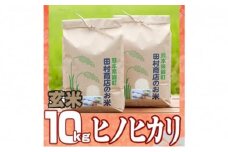 米 10kg 令和5年 ヒノヒカリ 5kg×2 玄米 こめ