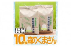 米 10kg 令和5年 森のくまさん 5kg×2 白米 こめ