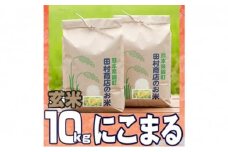 米 10kg 令和5年 にこまる 5kg×2 玄米 こめ