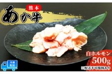 あか牛 赤牛 熊本 和牛 肥後 赤牛 白ホルモン 500g (250g×2パック) 牛肉 肉 お肉 配送不可:離島