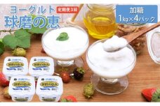 定期便3回 球磨の恵ヨーグルト 1kg×4パック【配送不可：沖縄、離島】