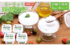 定期便3回 球磨の恵ヨーグルト 1kg×4パック（砂糖不使用）【配送不可：沖縄、離島】