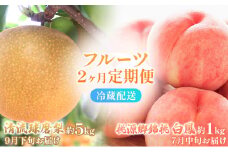 定期便 2回 先行予約 【 桃 白桃 7月頃 梨 9月頃 】白鳳 特製桃源郷錦 約1kg、清流錦梨 約5kg もも モモ なし フルーツ 果物 デザート お楽しみ 2025年発送 配送不可:離島