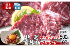 馬刺し 熊本 霜降り 馬刺 特選霜降り 中トロ 500g ブロック ユッケ 100g セット 熊本直送 国内肥育 馬肉 肉 お肉 冷凍 国産 又は カナダ産 配送不可:離島
