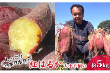 さつまいも 紅はるか 熊本県 錦町産 約5kg 大中不揃い