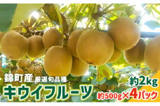 キウイ 先行予約 錦町産 旬のキウイフルーツ 約2kg 約500g×4パック