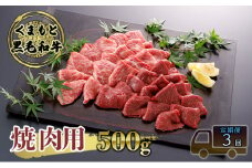 定期便 3ヶ月 焼肉 くまもと 黒毛和牛 500g 焼き肉 焼肉用 牛肉 肉 お肉 牛 ブランド牛 熊本 やきにく ヤキニク BBQ バーベキュー お楽しみ 3回 毎月