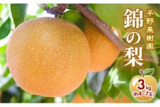 梨 先行予約 3kg 平野果樹園 錦の梨 清流錦 2025年発送 フルーツ 果物 デザート 配送不可：離島