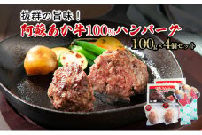 ハンバーグ セット 4個 阿蘇 あか牛 牛肉 100% 2p×2個 肉 お肉 にく 赤牛 配送不可：離島