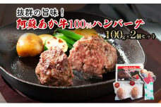 ハンバーグ セット 2個 阿蘇 あか牛 牛肉 100% 1p×2個 肉 お肉 にく 赤牛 配送不可：離島