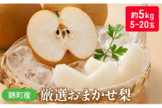 梨 おまかせ 約5kg 豊水・秋月・新高などから最も旬の梨を厳選 錦町産 5～20玉 なし ナシ 果物 くだもの デザート フルーツ ※配送不可：離島