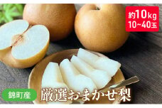 梨 おまかせ 約10kg 豊水・秋月・新高などから最も旬の梨を厳選 錦町産 10～40玉 なし ナシ 果物 くだもの デザート フルーツ ※配送不可：離島