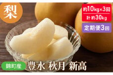 定期便 3回 梨 約10kg×3回 計約30kg 豊水 秋月 新高 錦町産 ナシ 果物 くだもの なし デザート フルーツ お楽しみ ※配送不可：離島