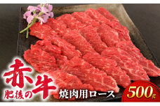 あか牛 焼肉 ロース 500g 肥後の赤牛 肉 お肉 牛肉 牛 焼き肉 焼肉用