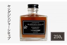 生姜 シロップ 250g ヤングジンジャーシロップ 加工品 甘味料