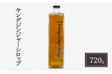 生姜 シロップ 720g ヤングジンジャーシロップ 加工品 甘味料