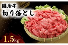 国産 牛 切り落とし 300g×5P 肉 お肉 牛肉 ※配送不可：離島