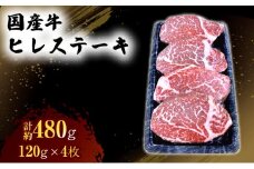 国産 牛 ヒレ ステーキ 約480g 肉 お肉 牛肉 ※配送不可：離島