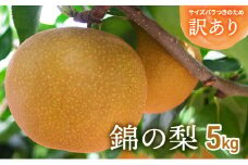 訳あり 梨 錦の梨 5kg 果物 フルーツ ※配送不可:離島