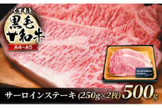 牛肉 A4～A5 くまもと 黒毛和牛 サーロイン ステーキ セット 500g (250g×2枚) 肉 お肉 ※配送不可：離島