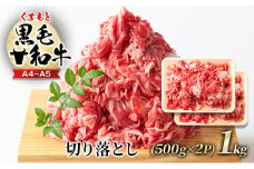 牛肉 A4～A5 くまもと 黒毛和牛 切り落とし 1kg (500g×2p) 肉 お肉 ※配送不可：離島