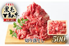 牛肉 A4～A5 くまもと 黒毛和牛 切り落とし 500g 肉 お肉 ※配送不可：離島