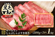 牛肉 厳選部位 A4～A5 くまもと 黒毛和牛 サーロイン しゃぶしゃぶ すき焼き 1kg (500g×2p) 肉 お肉 ※配送不可：離島