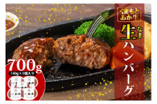あか牛 ハンバーグ くまもとあか牛 生ハンバーグ 140g×5個 肉 お肉 赤牛 ※配送不可：離島