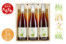 【梅酒】梅酒 文蔵 720ml × 3本 計2.16L【木下醸造所 球磨焼酎 文蔵 35度 で 漬け 熟成 させた 本格梅酒 本格 梅酒 梅 お酒 酒 】006-0545