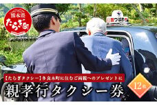 【チケット】親孝行 タクシー 補助券 ＜ たらぎタクシー 12枚 綴り ＞（ タクシー券 贈り物 父の日 母の日 敬老の日 プレゼント ） 029-0028