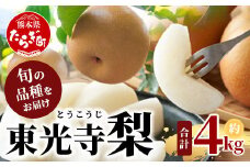 東光寺 梨 4kg (8～15玉) 1箱 完熟【2025年7月下旬～発送開始】  梨 なし ネットキャップ フルーツ 果物 夏 旬 幸水 豊水 秋月 新興 新高  025-0572