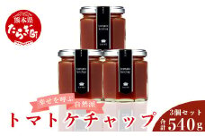 【無添加】 幸せを呼ぶ自然派 トマトケチャップ 計540g ＜180g × 3個＞ 無添加 トマト ケチャップ  贈り物 贈答 プレゼント 027-0052