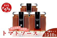 【ソース】 幸せを呼ぶ自然派 トマトソース 計 540g ＜ 180g ×3個 ＞ フレッシュ トマト ソース パスタ 贈り物 贈答 プレゼント 027-0053